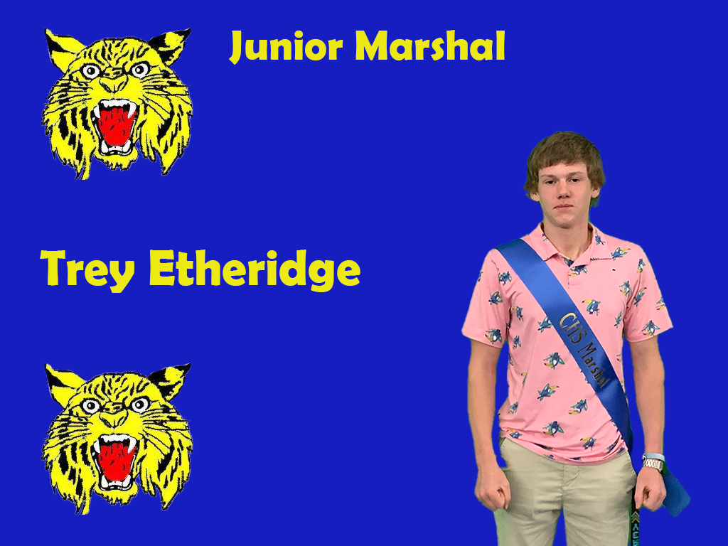 Junior Marshal